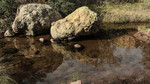 photo thumbnail #13