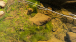 photo thumbnail #15