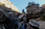 photo thumbnail #3