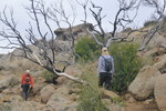 photo thumbnail #4