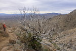 photo thumbnail #12