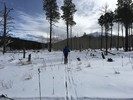 photo thumbnail #3