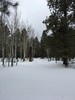 photo thumbnail #7