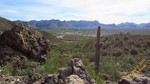 photo thumbnail #9