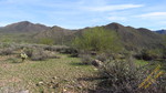 photo thumbnail #12