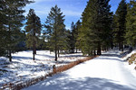 photo thumbnail #6
