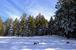 photo thumbnail #7
