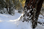 photo thumbnail #11