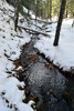 photo thumbnail #12