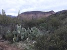 photo thumbnail #1