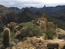 photo thumbnail #8