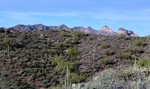 photo thumbnail #6
