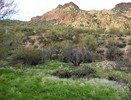 photo thumbnail #10