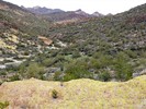 photo thumbnail #13