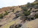 photo thumbnail #14