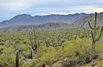 photo thumbnail #1