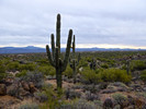 photo thumbnail #3