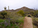 photo thumbnail #6