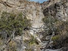 photo thumbnail #10