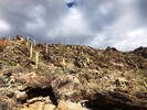 photo thumbnail #8