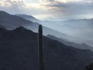 photo thumbnail #14