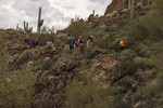 photo thumbnail #4