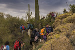 photo thumbnail #8