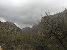 photo thumbnail #6