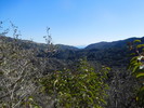 photo thumbnail #13