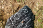 photo thumbnail #9
