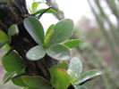 photo thumbnail #10