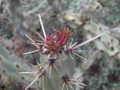 photo thumbnail #11