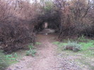 photo thumbnail #14