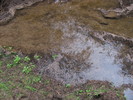 photo thumbnail #15