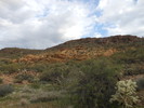photo thumbnail #2