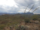 photo thumbnail #7