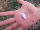 photo thumbnail #3