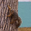 photo thumbnail #9