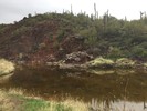 photo thumbnail #4