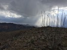 photo thumbnail #11