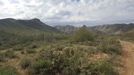 photo thumbnail #6