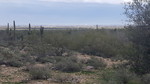 photo thumbnail #11
