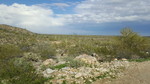 photo thumbnail #15