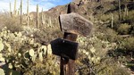 photo thumbnail #7