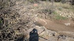 photo thumbnail #10