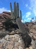 photo thumbnail #14