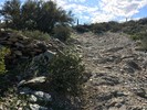 photo thumbnail #13