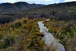 photo thumbnail #7
