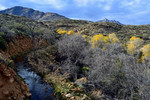 photo thumbnail #12