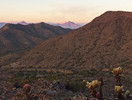photo thumbnail #1